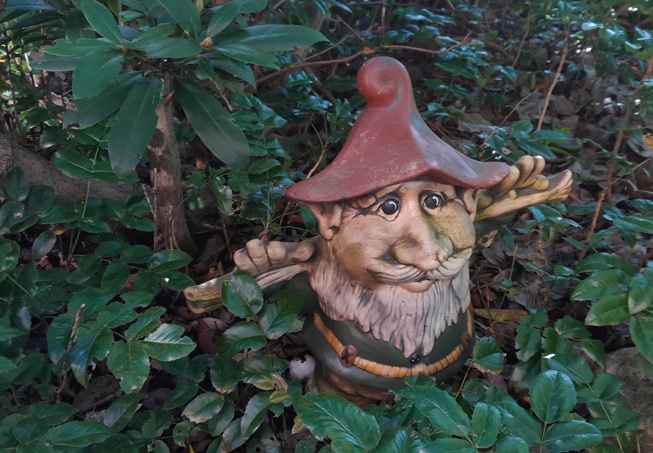 Trpaslík a rododendron